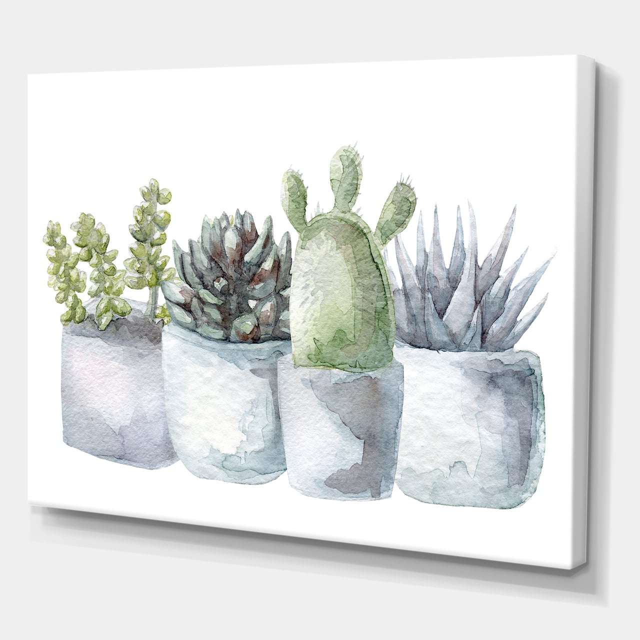 Designart - Cactus and Succulent House Plants I - Farmhouse Canvas Wall Art Print